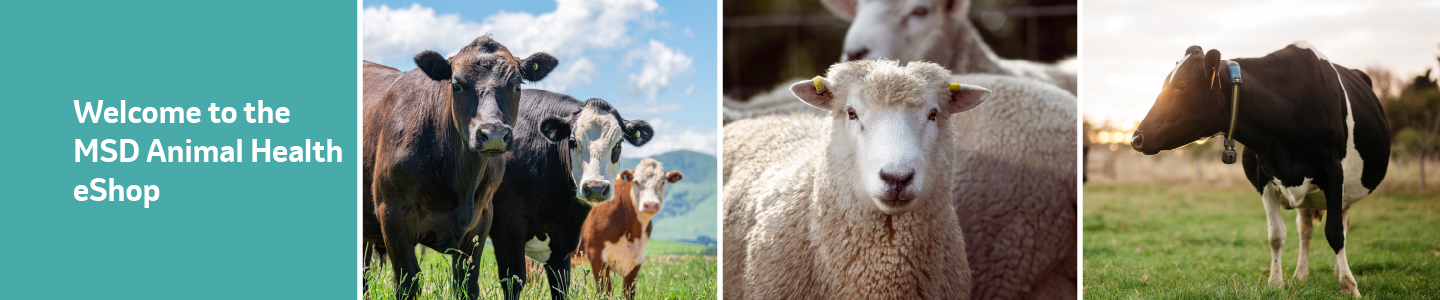 MSD Animal Health Logo